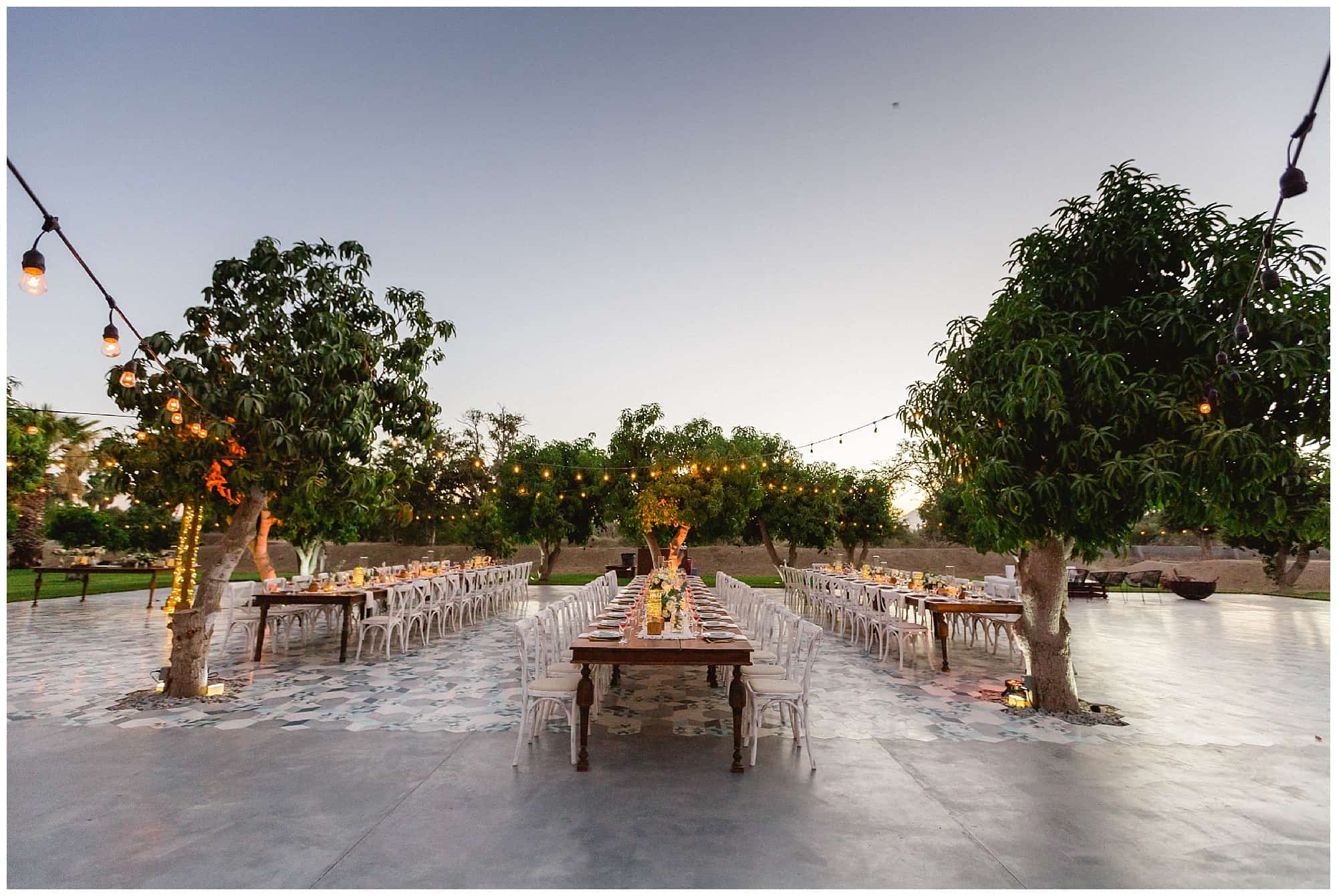 Cabo Farm Wedding acre wedding, sara richardson photography, cabo wedding, cabo wedding photographer, wedding in Cabo